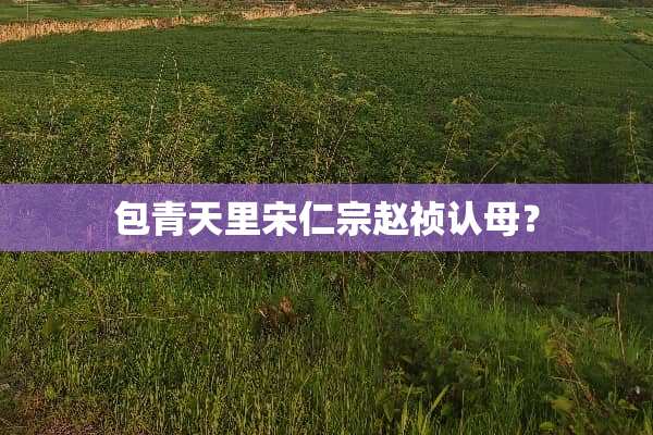 包青天里宋仁宗赵祯认母？