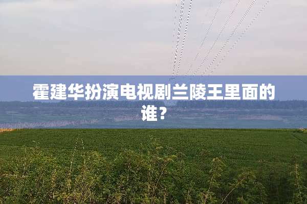 霍建华扮演电视剧兰陵王里面的谁？