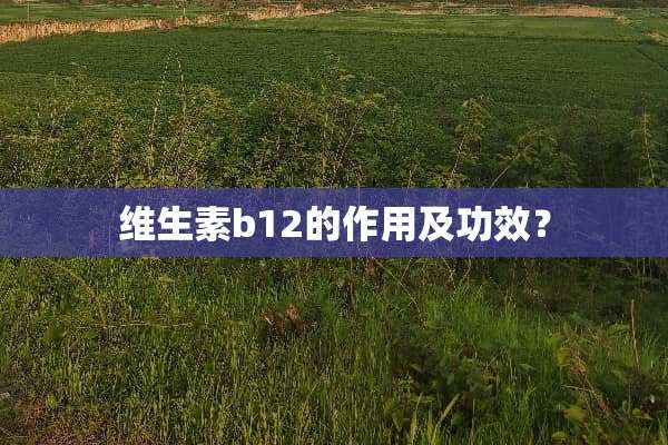 维生素b12的作用及功效？