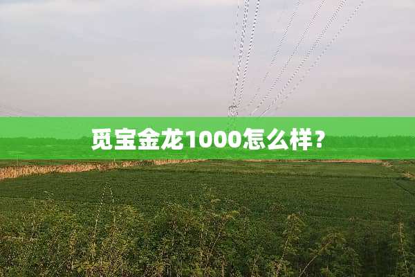 觅宝金龙1000怎么样？