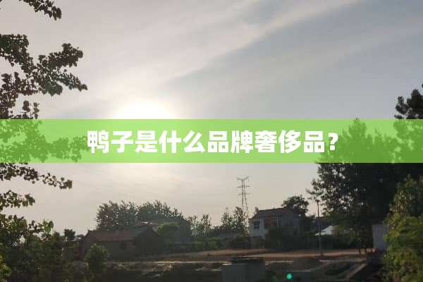 鸭子是什么品牌奢侈品？