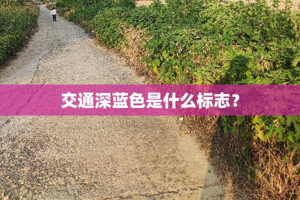 交通深蓝色是什么标志？