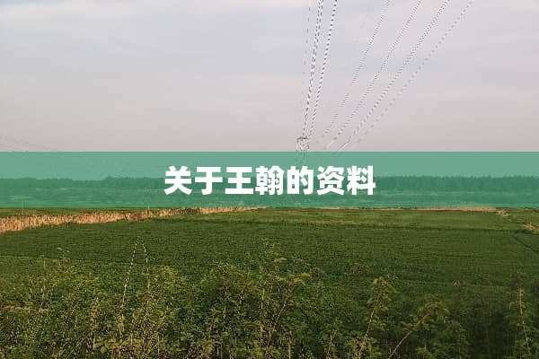 关于王翰的资料