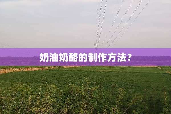 奶油奶酪的制作方法？
