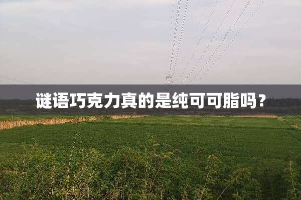 谜语巧克力真的是纯可可脂吗？