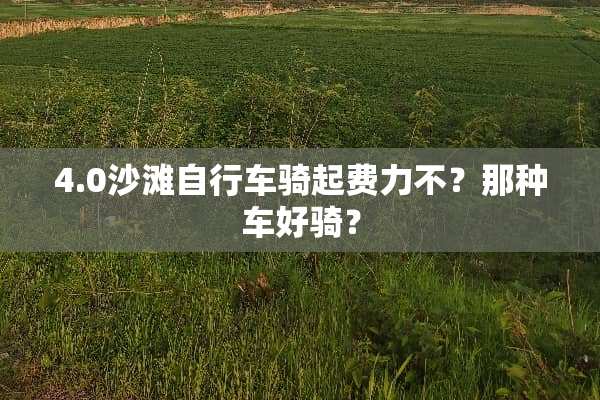 4.0沙滩自行车骑起费力不？那种车好骑？