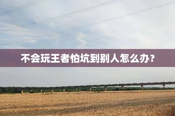 不会玩王者怕坑到别人怎么办？