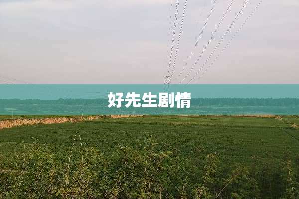 好先生剧情