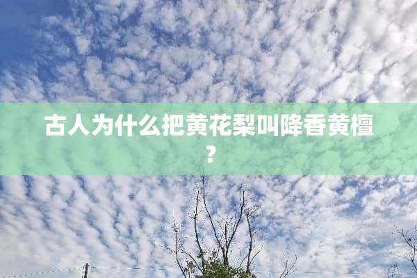 古人为什么把黄花梨叫降香黄檀？