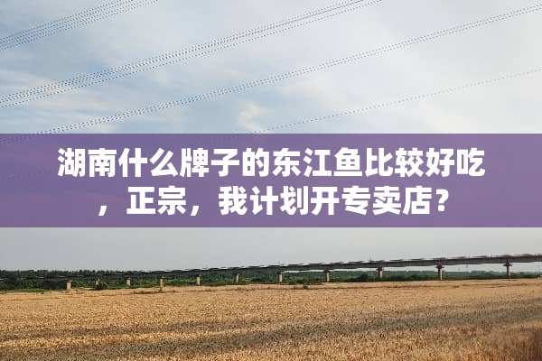 湖南什么牌子的东江鱼比较好吃，正宗，我计划开专卖店？