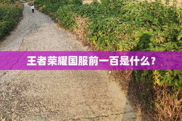 王者荣耀国服前一百是什么？