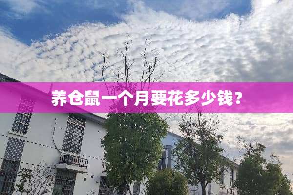 养仓鼠一个月要花多少钱？