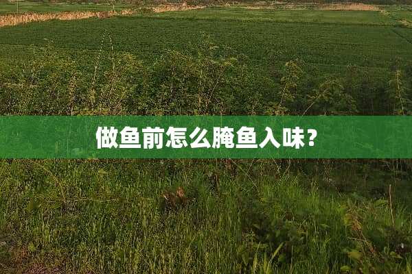 做鱼前怎么腌鱼入味？
