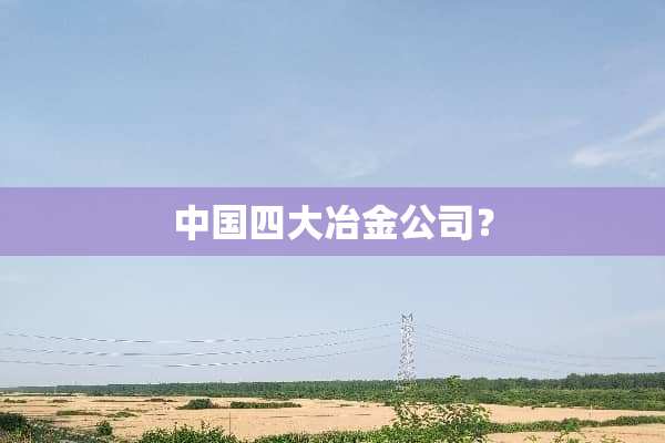 中国四大冶金公司？