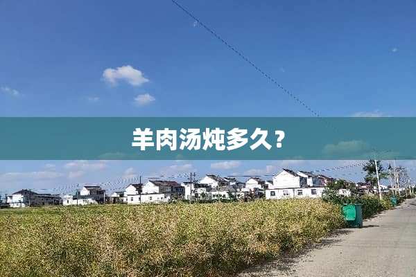 羊肉汤炖多久？