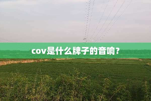 cov是什么牌子的音响？