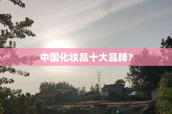 中国化妆品十大品牌？