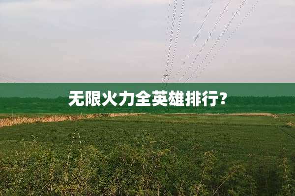 无限火力全英雄排行？