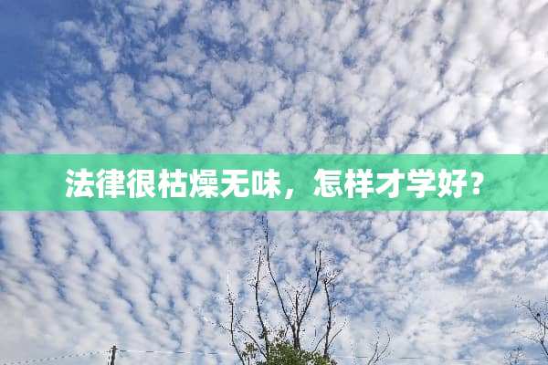 法律很枯燥无味，怎样才学好？