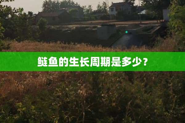 鲢鱼的生长周期是多少？