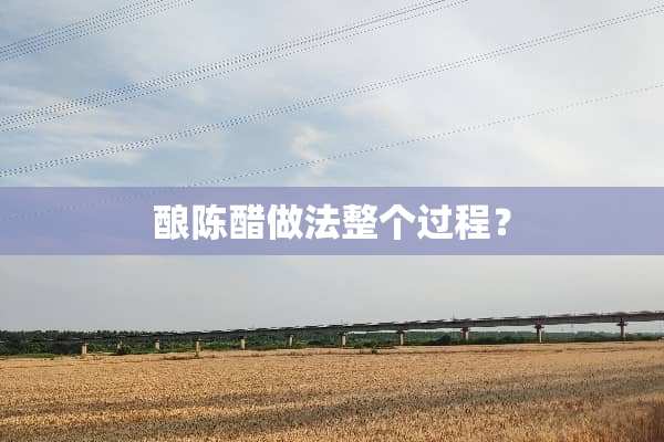 酿陈醋做法整个过程？