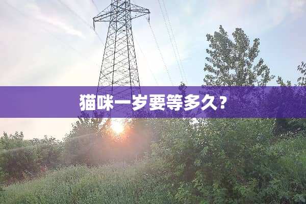 猫咪一岁要等多久？