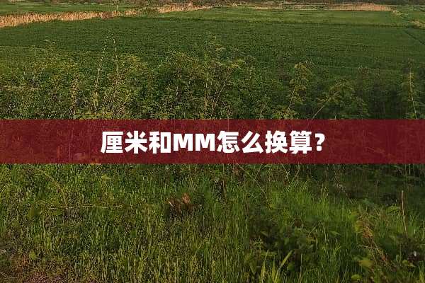 厘米和MM怎么换算？