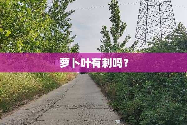 萝卜叶有刺吗？