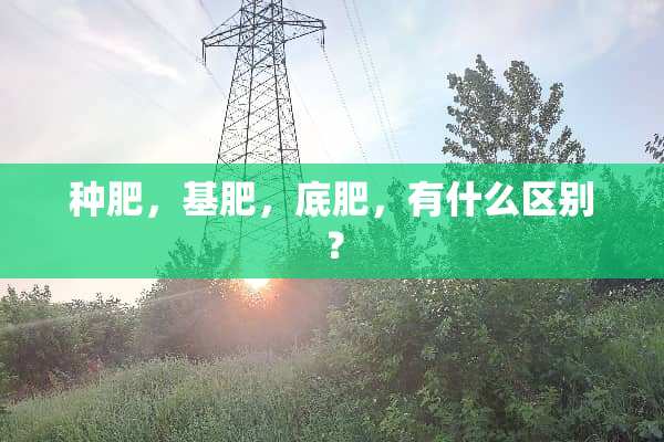 种肥，基肥，底肥，有什么区别？