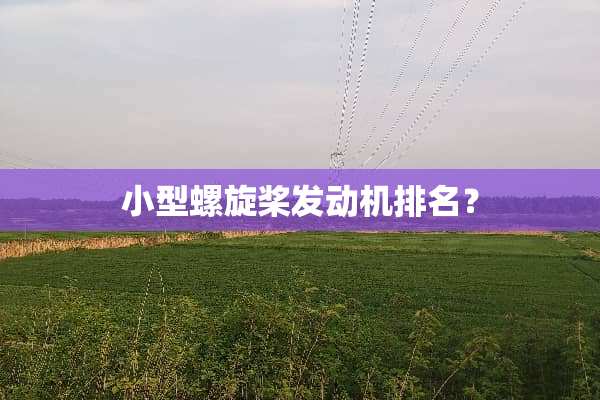小型螺旋桨发动机排名？