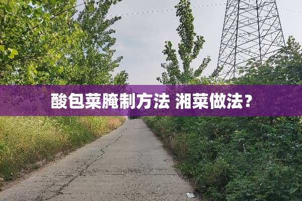 酸包菜腌制方法 湘菜做法？