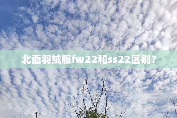 北面羽绒服fw22和ss22区别？