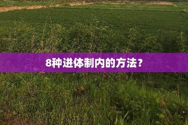 8种进体制内的方法？