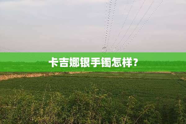 卡吉娜银手镯怎样？
