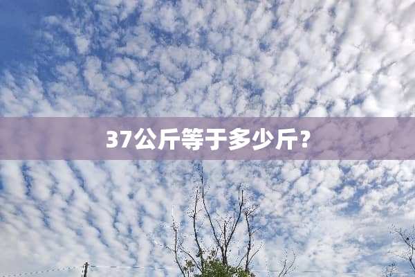 37公斤等于多少斤？