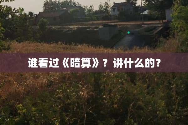 谁看过《暗算》？讲什么的？