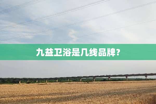 九益卫浴是几线品牌？