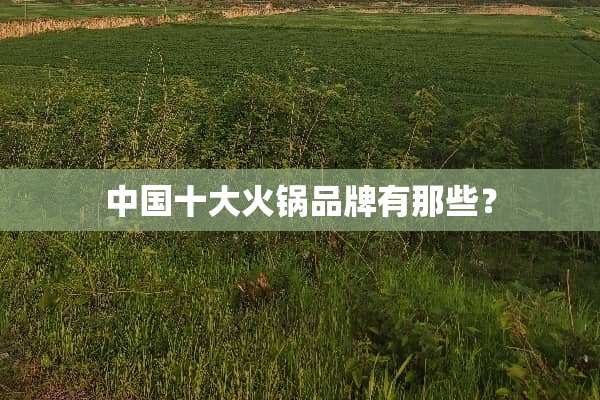 中国十大火锅品牌有那些？