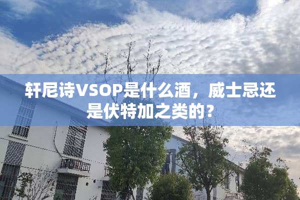 轩尼诗VSOP是什么酒，威士忌还是伏特加之类的？