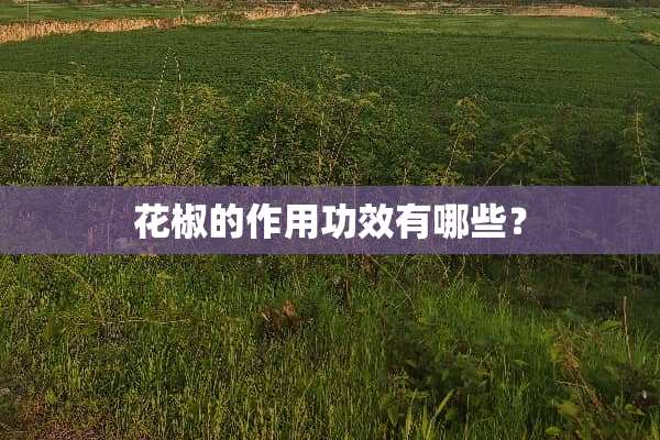 花椒的作用功效有哪些？
