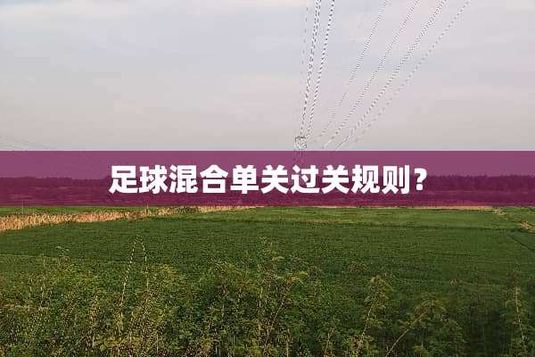 **混合单关过关规则？