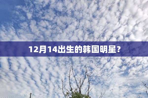 12月14出生的韩国明星？