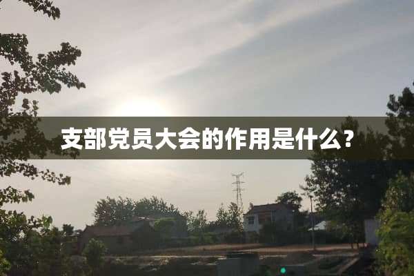 支部*员大会的作用是什么？