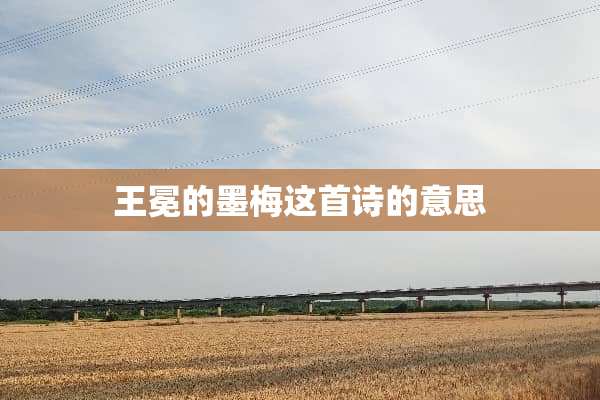 王冕的墨梅这首诗的意思