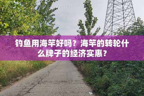 钓鱼用海竿好吗？海竿的转轮什么牌子的经济实惠？