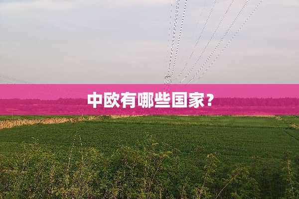 中欧有哪些国家？
