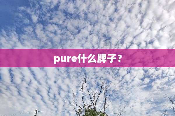 pure什么牌子？