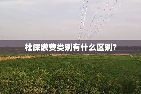 社保缴费类别有什么区别？