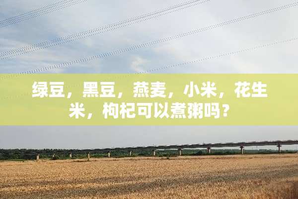 绿豆，黑豆，燕麦，小米，花生米，枸杞可以煮粥吗？