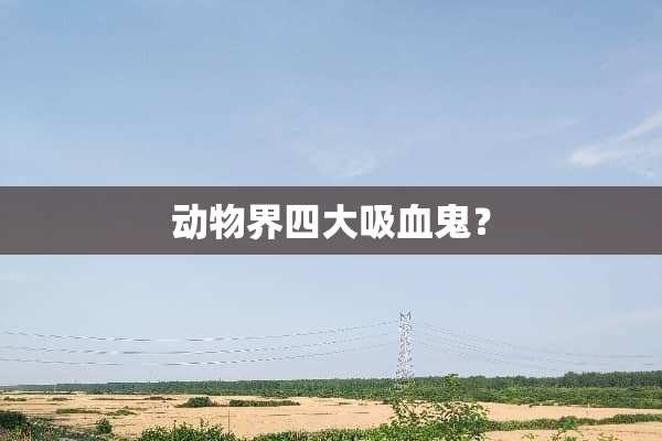 动物界四大吸血鬼？